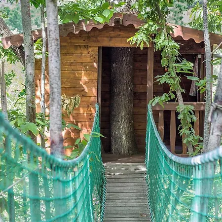 Farm stay La Conca Sansepolcro