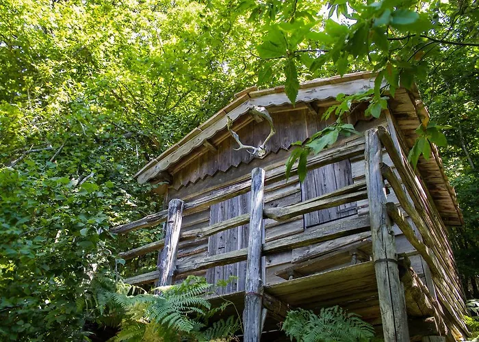 Çiftlik konaklama La Conca